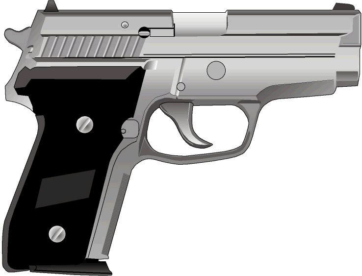 SIG P229